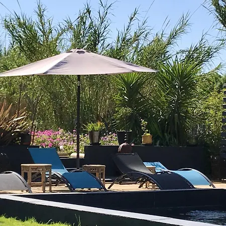 Villa De 3 Chambres A Perpignan Avec Piscine Privee Jardin Clos Et Wifi A 8 Km De La Plage Villa *