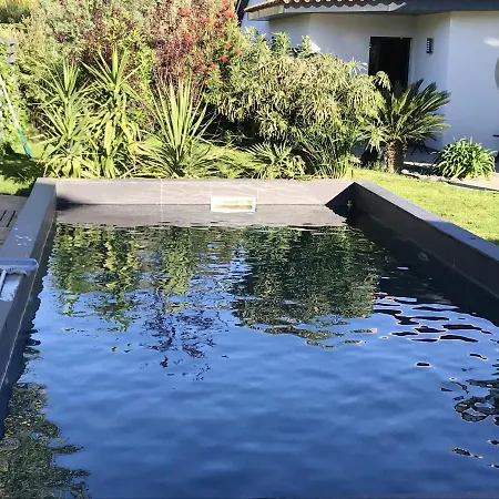 Villa Villa De 3 Chambres A Perpignan Avec Piscine Privee Jardin Clos Et Wifi A 8 Km De La Plage Perpignan